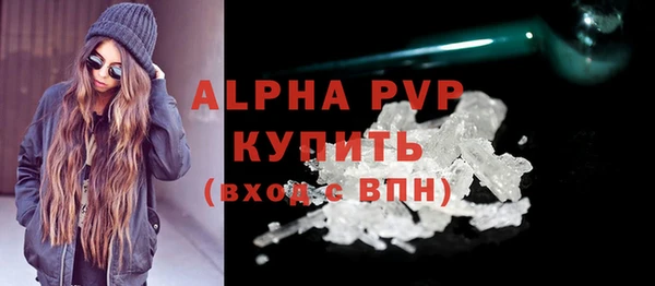стаф Пересвет