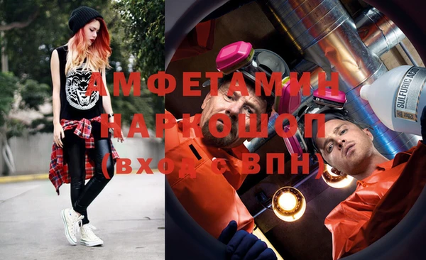 шишки Алзамай
