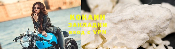 стаф Алексин