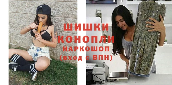шишки Алзамай