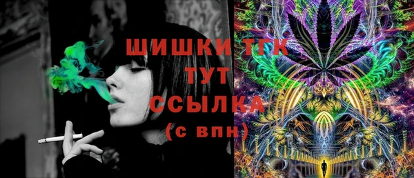стаф Пересвет