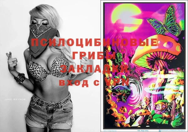 шишки Алзамай